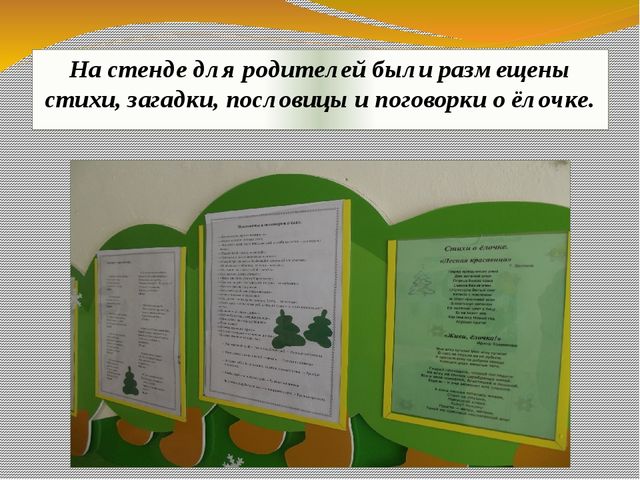 Презентация экологического проекта "Ёлочка, ёлка - лесной аромат".