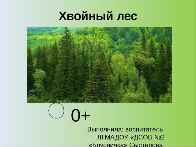 Презентация на тему: "Хвойный лес" (подготовительная группа)