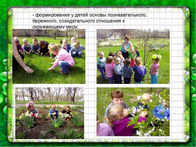 Презентация на тему:"Формирование математических представлений у младших дошкольников посредством сказки"