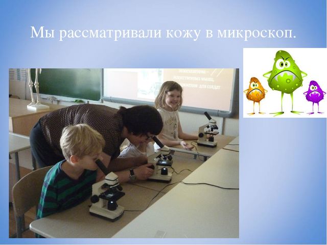 Презентация проекта по окружающему миру "Я здоровье сберегу - сам себе я помогу"