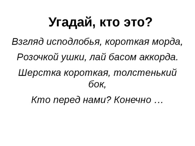 Презентация по окружающему миру "День кинолога"
