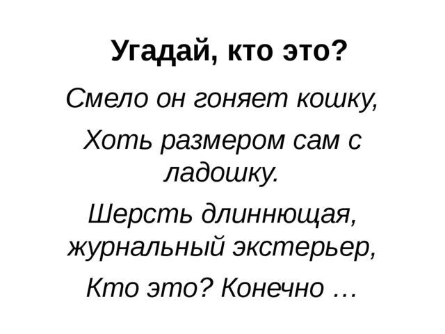 Презентация по окружающему миру "День кинолога"