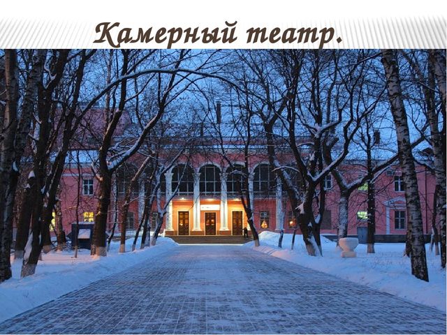 Презентация на тему "Путешествие по театрам города Воронежа"