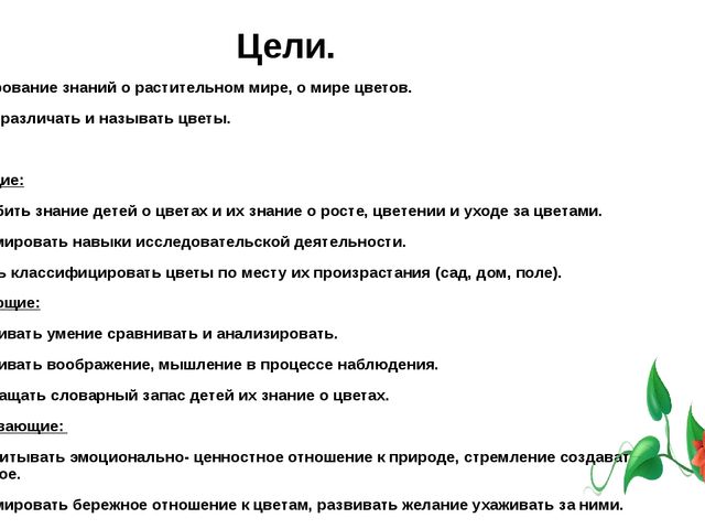 Презентация экологический проект "Цветы на клумбе" (старшая группа)