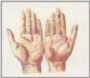 Рисунок 16
