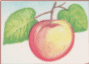 Рисунок 19