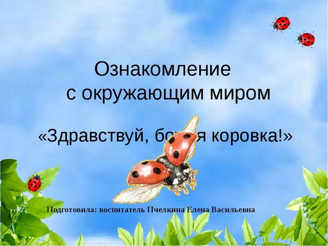 Презентация к интегрированному комплексному занятию в младшей группе на тему «Здравствуй, божья коровка!»