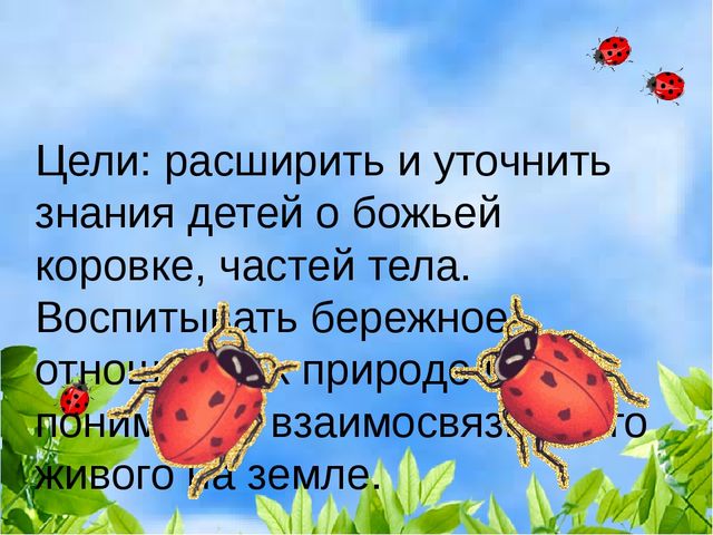 Занятие божья коровка для детей 1 младшей группы в период адаптации тех карта