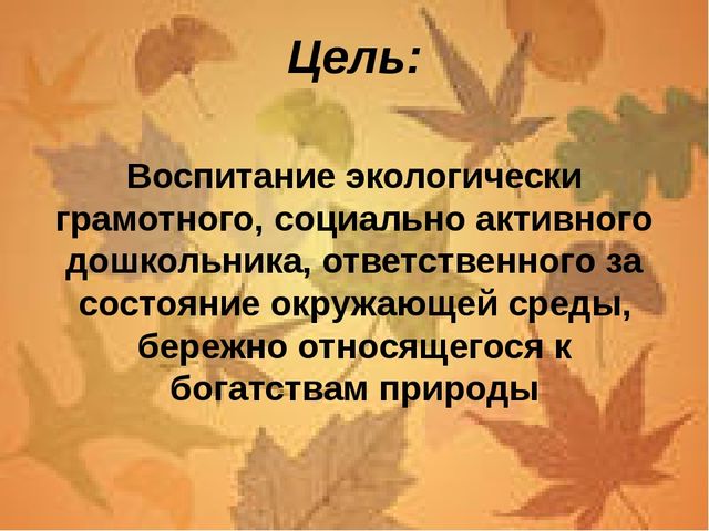 Презентация по основам экологии на тему: "Экологическая тропинка"