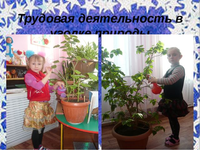 Презентация по основам экологии на тему: "Экологическая тропинка"