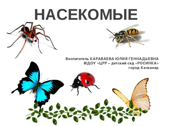 Презентация по ознакомлению с окружающим миром на тему "Насекомые" для дошкольников