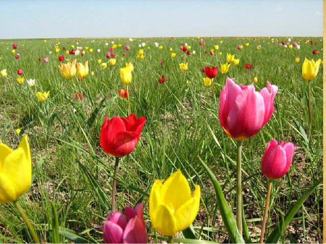 Презентация для сценария мероприятия "Ыбрай Алтынсарин"