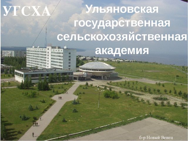 Презентация на тему: "Город Ульяновск"