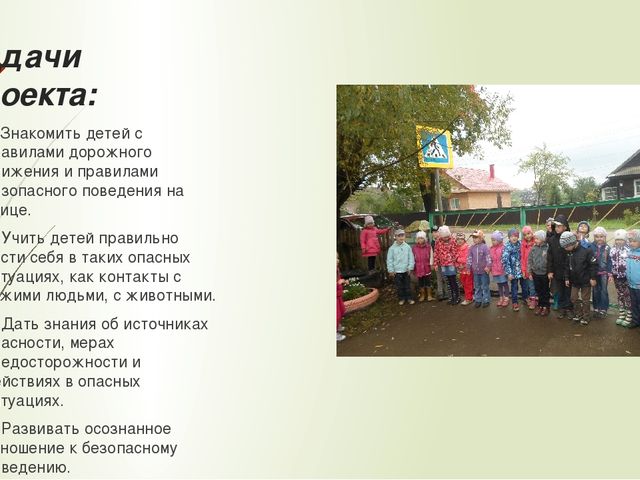Презентация по проектной деятельности на тему ПДД