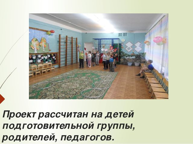 Презентация по проектной деятельности на тему ПДД