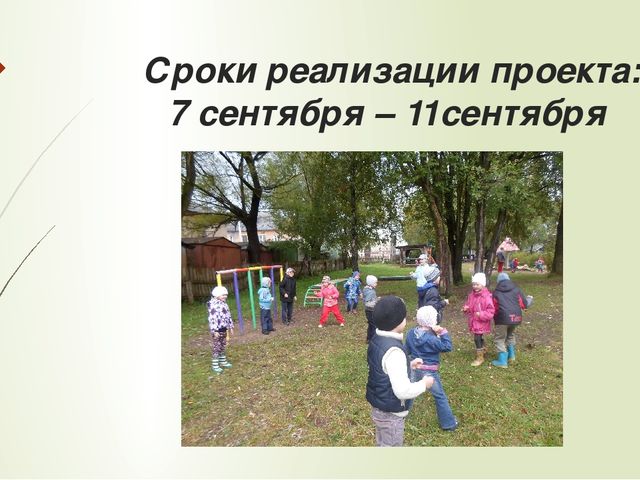 Презентация по проектной деятельности на тему ПДД