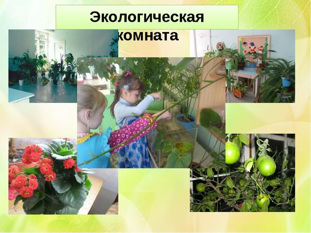 Презентация "Экологическое воспитание в детском саду"