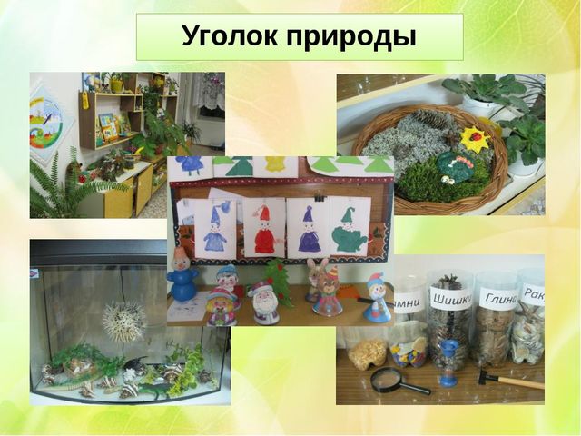 Презентация "Экологическое воспитание в детском саду"