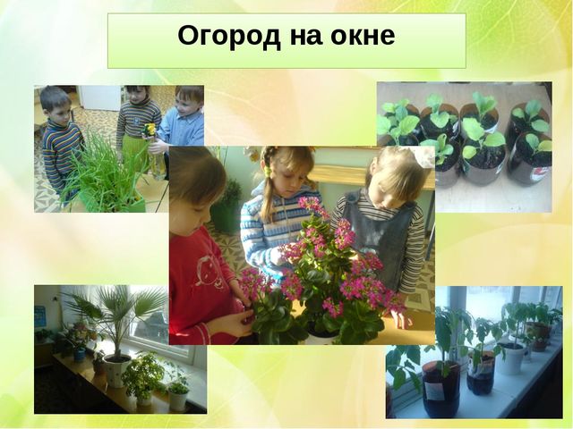 Презентация "Экологическое воспитание в детском саду"