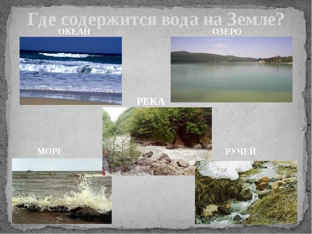 Презентация по познавательному развитию "Водное царство"