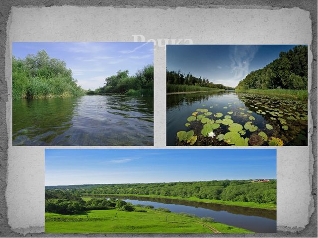 Презентация по познавательному развитию "Водное царство"
