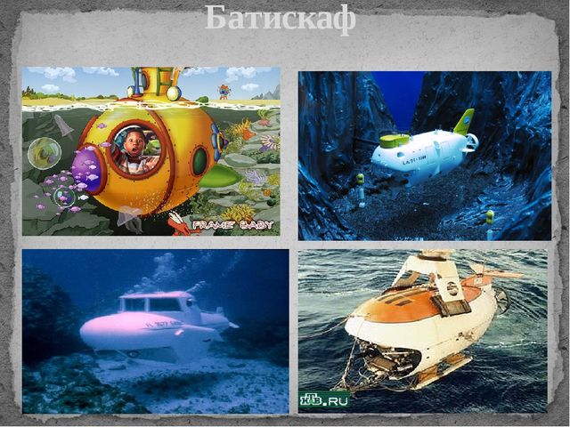 Презентация по познавательному развитию "Водное царство"