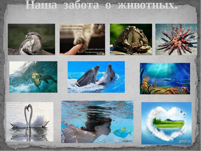 Презентация по познавательному развитию "Водное царство"