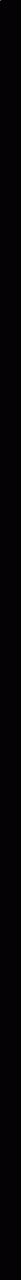 Shape384