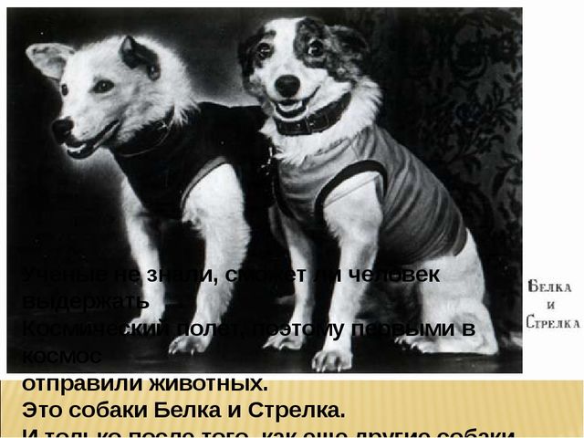 Презентация на тему "Космос"