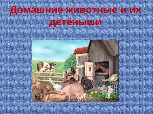 Презентация к ознакомлению с природой