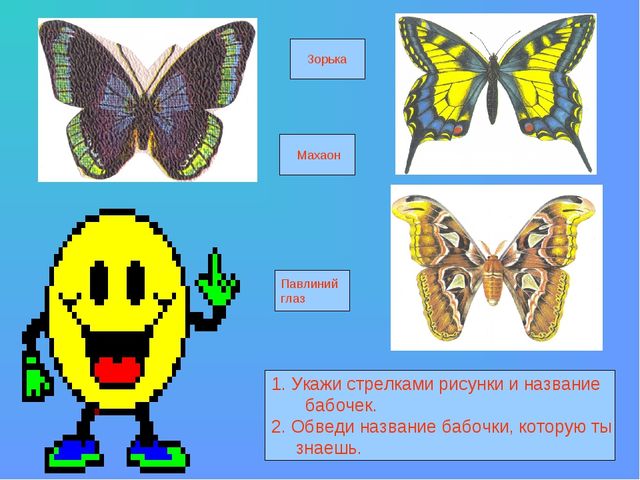 Презентация на тему "Бабочки"