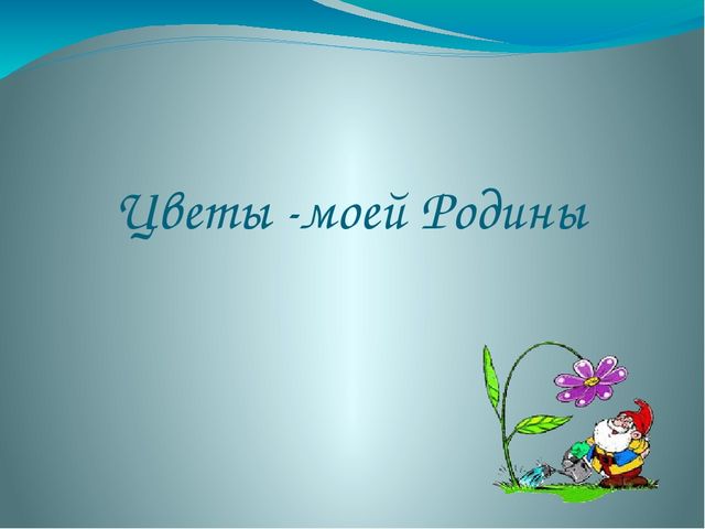 Презентация на тему "Цветы моей Родины"