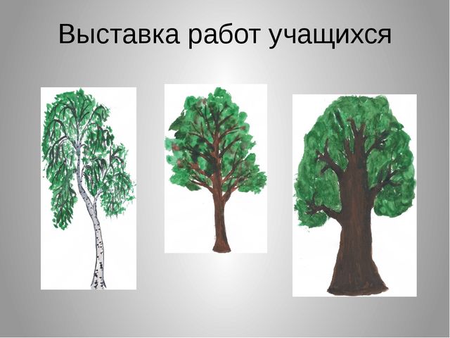 Презентация на тему "Леса нашего края"