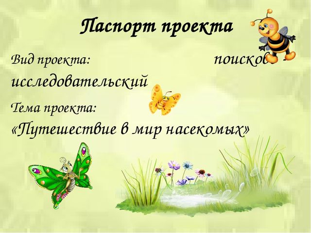 Презентация проекта «Путешествие в мир насекомых»