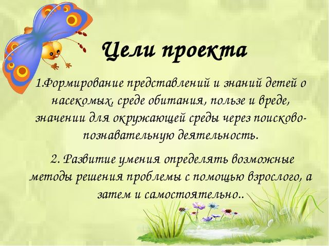 Презентация проекта «Путешествие в мир насекомых»