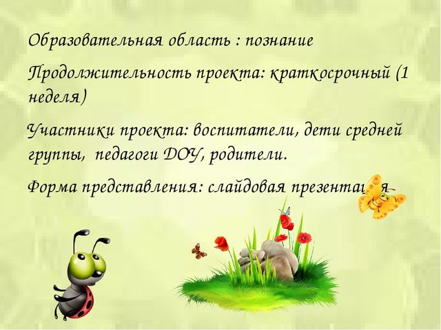 Презентация проекта «Путешествие в мир насекомых»