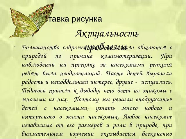 Презентация проекта «Путешествие в мир насекомых»