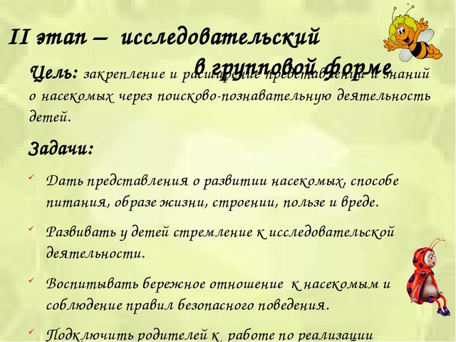 Презентация проекта «Путешествие в мир насекомых»