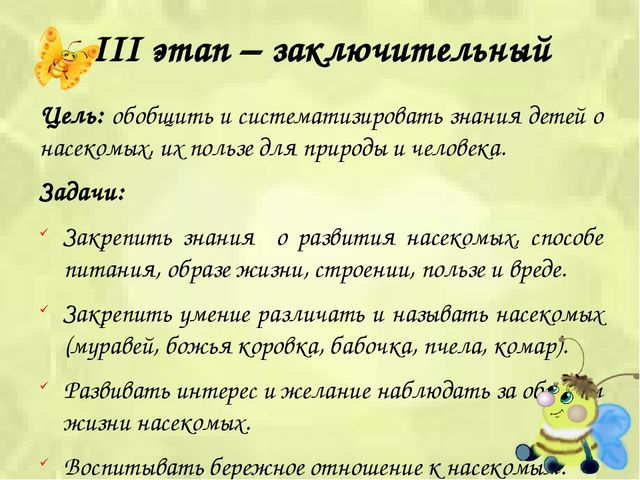 Презентация проекта «Путешествие в мир насекомых»