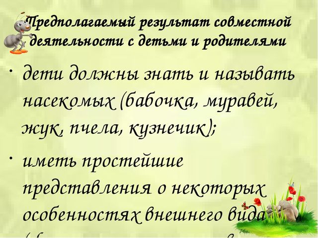 Презентация проекта «Путешествие в мир насекомых»