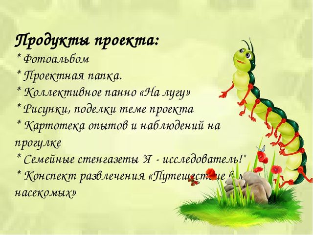 Презентация проекта «Путешествие в мир насекомых»