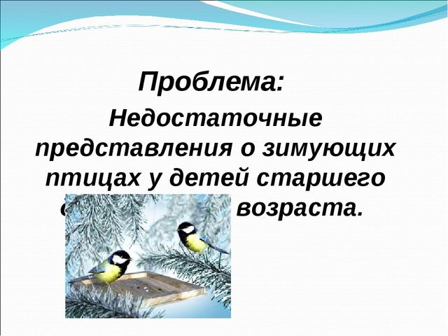 Презентация проекта по экологии " Птицы нашего края"