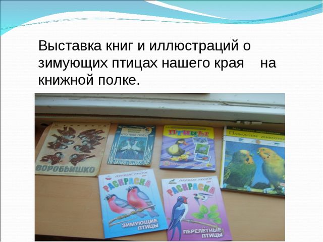 Презентация проекта по экологии " Птицы нашего края"