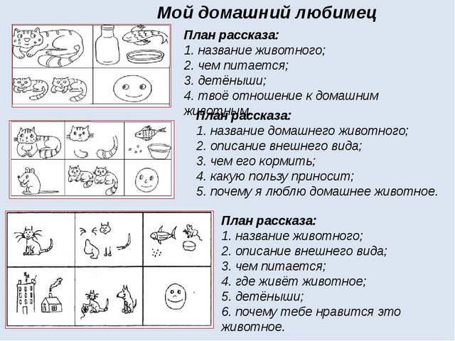 Составление рассказа по набору игрушек старшая группа. Речевое развитие составление рассказа мой питомец. Схема рассказа мой друг-. Схема рассказа о маме. Занятия по развитию речи из личного опыта мой любимец старшая.