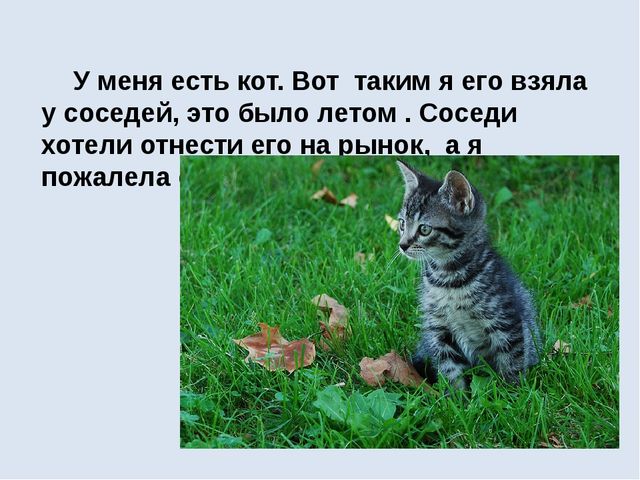 Современные формы речевого развития детей