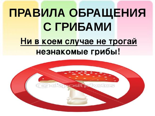 Презентация на тему: "Лесные опасности"