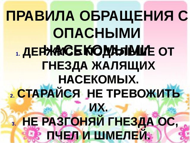 Презентация на тему: "Лесные опасности"
