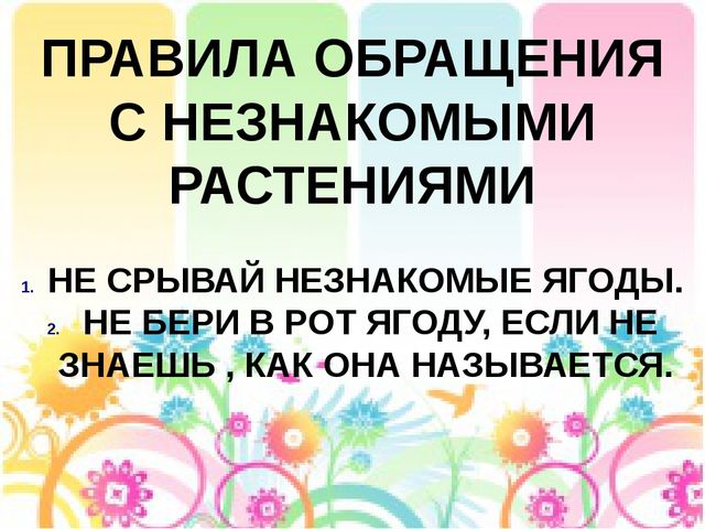 Презентация на тему: "Лесные опасности"