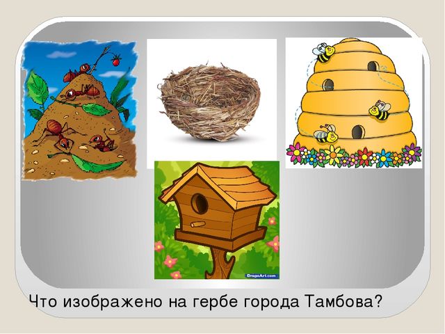 Презентация для викторины Я живу в Тамбове