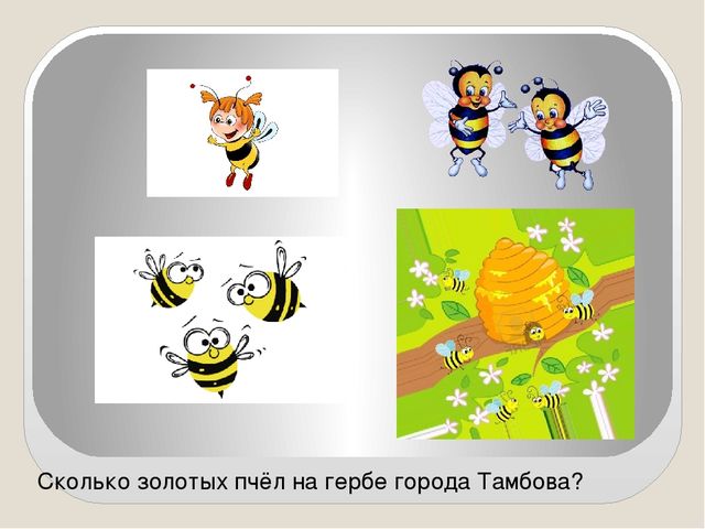 Презентация для викторины Я живу в Тамбове